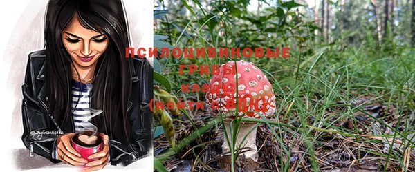 не бодяженный Козловка