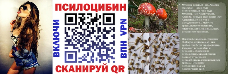 Псилоцибиновые грибы MAGIC MUSHROOMS  Чебаркуль 